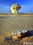 White Desert National Park