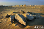 White Desert National Park