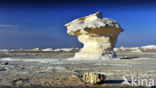 White Desert National Park