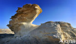 White Desert National Park