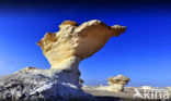 White Desert National Park