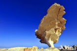 White Desert National Park