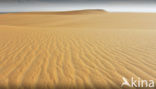 White Desert National Park