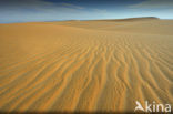 White Desert National Park