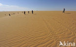 White Desert National Park