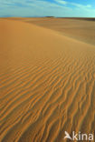 White Desert National Park