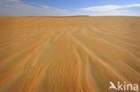 White Desert National Park