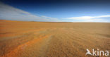 White Desert National Park