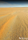 White Desert National Park