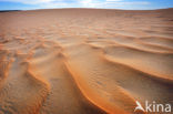 White Desert National Park