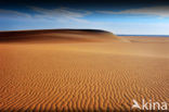 White Desert National Park