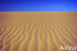 White Desert National Park