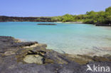 Ahihi-Kinau Natural Preserve