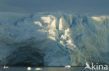 Antarctic Peninsula