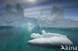 Antarctic Peninsula