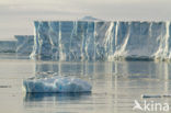 Antarctic Peninsula