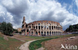 Colosseum