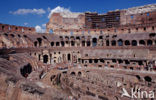 Colosseum