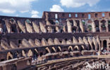 Colosseum