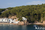 Costa Brava