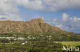 Diamond Head Volcanic Crater