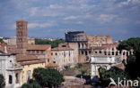 Forum Romanum