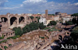 Forum Romanum