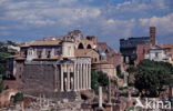 Forum Romanum