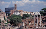 Forum Romanum