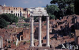 Forum Romanum