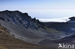 Haleakala National Park