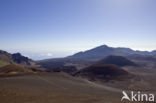 Haleakala National Park