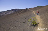 Haleakala National Park