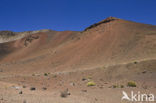 Haleakala National Park