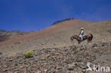 Haleakala National Park