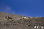 Haleakala National Park