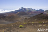 Haleakala National Park