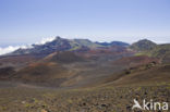 Haleakala National Park