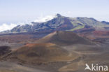 Haleakala National Park