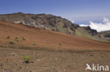 Haleakala National Park