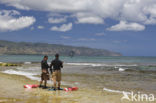 Haleiwa Beach Park