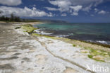 Haleiwa Beach Park