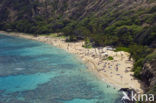 Hanauma Bay