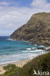 Hanauma Bay