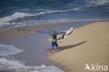 Hookipa Beach