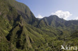 Iao Valley