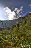 Iao Valley