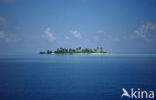 Indian Ocean