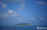 Indian Ocean