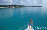 Indian Ocean